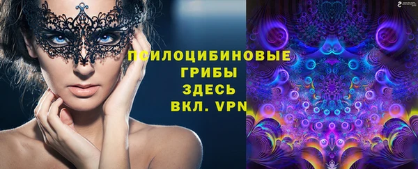 амф Арсеньев