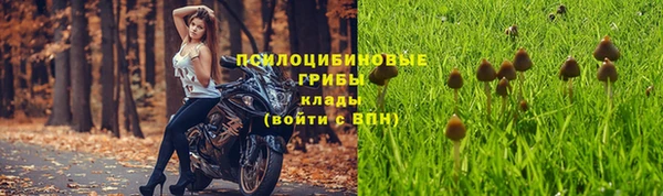 прущая мука Мурманск