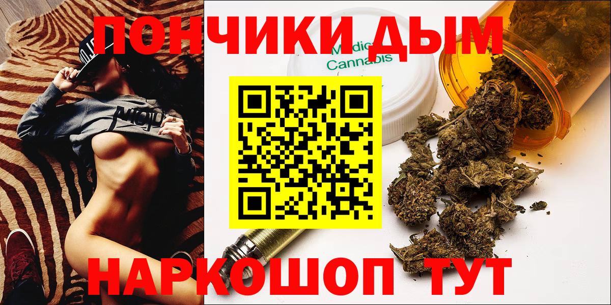 Конопля гибрид Обнинск